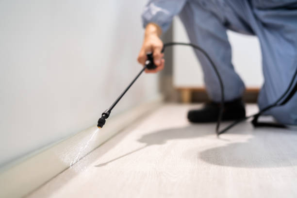 Licensed Cockroach Control service in Tulare, CA - Nex Pest Control
