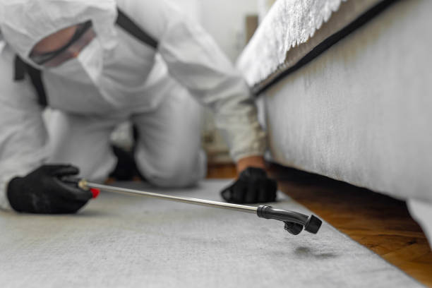 Professional Cockroach Control technician working in Tulare, CA