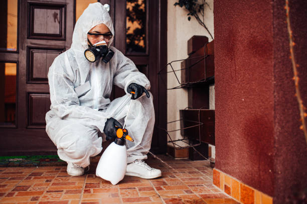 Reliable Cockroach Control contractor in Tulare, CA by Nex Pest Control